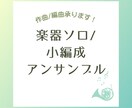 楽器ソロ〜小編成アンサンブルの作曲・編曲をします 演奏会で作曲・編曲したことある音大卒の作曲家が制作します。 イメージ1