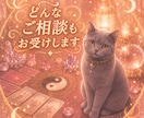 人間関係・仕事など【四柱推命とタロット】で占います 【質問２つまで】人間関係・仕事のことなどなんでも占います！ イメージ1