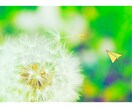 別れたい…踏み出せない現状☆経験者☆後押しできます どうしたらいい？…ズルズル引きずってばかり、心がいつも曇り空 イメージ5