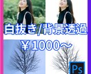 写真加工・切抜き・合成・AI画像生成まで対応します 人物切り抜き・背景合成・色変更など、写真加工すべて対応します イメージ3