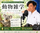 ゲーム・企業PRの音声を収録します ゲーム・企業PR・雑学まで対応 イメージ8