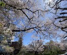 電話でお話し伺います 恋愛・人間関係、誰にも言えない気持ちを話してみませんか。 イメージ1