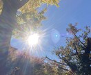 年末直前価格1000円！来年の運氣鑑定しますます 来年、自分の思い描いた1年にするための運氣を月ごとに鑑定 イメージ3