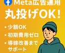 Meta広告運用を代行いたします 少額予算でも対応可能！設定についても対応します！ イメージ1