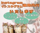 Instagraｍ運用代行いたします 効果を導くインスタグラム運用のお手伝い イメージ1