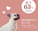クリックに繋がる！Web画像作ります バナー、商品画像、SNS画像にも！用途は様々◎ イメージ9
