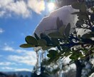 モヤモヤの気持ち、受け止めて欲しい、心の整理します 1分でも話せば変わる！ハナお母さんがお話聞きます イメージ4