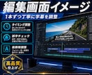 YouTube動画の字幕フルテロップ作成します YouTube字幕・テロップ作成｜丸投げOK イメージ14
