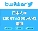 twitter 250いいね＆250RT増加ます リアルアクティブユーザーの日本人 イメージ1