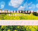 凝り固まった辛い気持ちをデトックスします モヤモヤ、ザワザワを解消し、自然体のあなたを呼び戻す。 イメージ1
