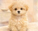 愛犬、ワンちゃん用に！ペットイラストをお描きします 芸大卒イラストレーターがご希望通りにお描きします イメージ2