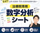 治療院専用の数字分析・管理シートを販売します 感覚経営からの卒業！可視化した「院の弱点」を改善し安定売上へ イメージ1