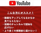 YouTube再生数を伸ばすための支援を行います 先着20名様モニター価格でご提供！是非お試しください！ イメージ3