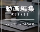 ショート、リール動画の編集を代行をいたします スクールで動画編集を学び、フリーランスで活動中 イメージ1