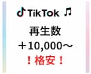 TikTok再生数10,000～増やしまます SNSのプロがTikTokの再生数数増を支援します！ イメージ1