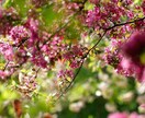 心をゆるめる☘チルタイム ✨なんでも聞きます 気取らずに、ほっとひと息。 あなたのままの言葉で大丈夫です☘ イメージ5