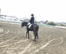 乗馬の動画撮影〜データ送付します 〜自分の騎乗姿勢の見直しに〜馬と仲良くなりましょう♪ イメージ4