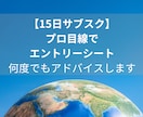 15日間サブスク!何度でもES添削サポートします 総合商社 採用面接官経験５年以上のプロ目線でアドバイス！ イメージ1