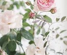関西弁でゆったりお聞きします とにかくなにも気にせずお話ししたい方 イメージ1