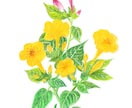 アナログイラスト！色鉛筆画で動物、植物を描きます AIイラストでは出せない味のある&温もりのある手描きイラスト イメージ8