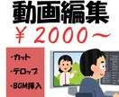 Youtube向けの動画を編集します 格安でカット、SE・テロップ付けなどの動画編集代行します！ イメージ1