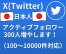 Twitter日本人ﾌｫﾛﾜｰ300人増加させます 日本人のアクティブフォロワーを増やします！ イメージ1
