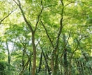 頭の中の絡まった糸を一つ一つゆっくり解いていきます 繊細/頭の中、心がモヤモヤしてる/心にゆとりを作りましょう イメージ7