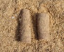 土壌医の家庭菜園のコツ！ご相談に乗ります 〜土壌医が教える〜『理屈が分かると楽しい！家庭菜園のコツ』 イメージ3