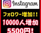 インスタフォロワー10,000人増加します わからないことがあればご気軽に相談ください イメージ1