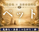 亡くなったあの子の想いと魂の現在地を霊視します 本当に幸せだったのか。今もあなたへ向けている想いを伝えます イメージ1