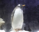 編集代行致します 実績作りのため特別価格！大切なお写真をもっと素敵に仕上げます イメージ3