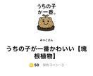 塊根植物の悩み相談うけたまわります どんな種類の塊根植物でも即対応します！ イメージ1
