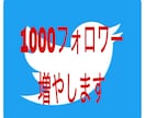 あなたのTwitterフォロワー増やします ★あなたのフォロワー1000人増やします★ イメージ1