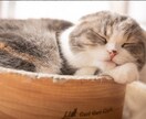 九州の猫好きのママがあなたの元気をサポートします 40代ならではの、落ち着いたトーンであなたを包みます!! イメージ2