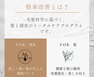 先着5名限定♪あなた専用髪改善プランをお作りします 目指す髪質に向けて、美容院と家でのケアを通しでご提案します イメージ7