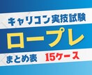 キャリコン　ロープレまとめ表15ケースを送ります 一人練習もできる独自パターン勉強法★勉強が進んでいない人★ イメージ1