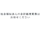 社会福祉法人会計の記帳代行します 社会福祉法人会計基準による毎月の記帳代行から決算書作成まで イメージ1
