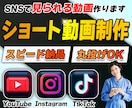 視聴維持率を意識した縦型ショート動画を編集します 【最短翌日】TikTok・Reels・Shorts動画対応 イメージ1