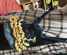 編み物で全身包みます 編み物で色々作ります！スマホストラップ、帽子、カバンなど！ イメージ2
