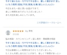 相談実績6千人:限界なストレスモヤモヤ、緩めます 苦しい/眠れない/孤独/不安/家族/仕事/寂しい/しんどい イメージ3