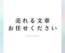 AIを活用して商品・SNS文章を丁寧に作成します AI活用+人の目で自然な日本語に整えた文章を作成します。 イメージ3