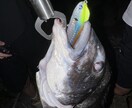 釣りを始めたい方に0から丁寧にアドバイスします 釣りで必要な道具の購入や釣り方を0から丁寧にサポート! イメージ1