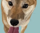 細部までこだわり生命感溢れるペット似顔絵を描きます デジタルでハッキリと、鉛筆ペンでアナログみたいに イメージ3