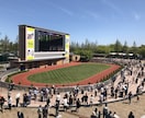 ３往復⭐️競馬好きさんとゆるく交換日記します 交換日記のように競馬愛を語りましょう イメージ7