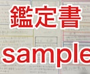 個性認識学ベースの人相占いで金運を観ます 金運と金に対する傾向をお伝えします　10名様限定価格 イメージ2