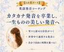 EPT満点のプロがあなたの英語発音を徹底指導します 【1か月コース】カタカナ英語卒業し「一生ものの美しい発音」へ イメージ1