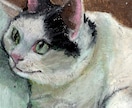 あたたかみのある猫ちゃんの似顔絵描きます 「猫語り」してください！猫ちゃんの良さを自慢しながら注文！ イメージ1