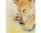 ほっこり暖かいうちの子似顔絵　パステルで描きます 写真には残らない、そのコらしさを一枚の絵に イメージ2