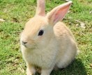 ちょっと話してみたい！気持ちを満たします。ます 悩み・相談・愚痴・話して紛らわしたい…そんな気持ちに応えます イメージ2
