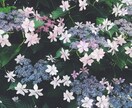 誰かに聞いてもらいたい時チャットでお話お聞きします モヤモヤや不安な時　話したい時　ゆっくりお話聞かせてください イメージ4